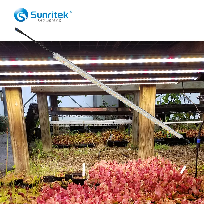 New designed LED grow tube light for indoor farming