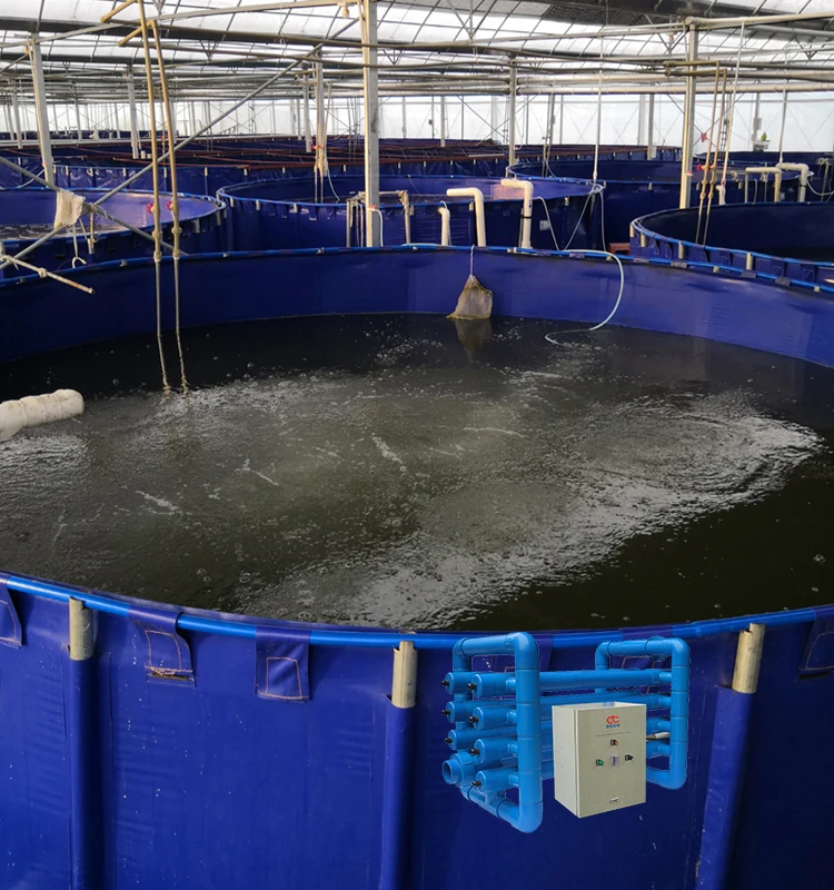 ras fish farming equipment indoor shrimp farming equipment recirculating aquaculture system fish farm