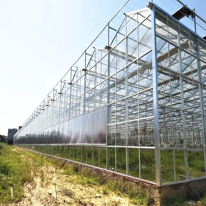 
Factory Sale Various Agricultural Tunnel Greenhouse Commercial Garden Greenhouse Flower House 
