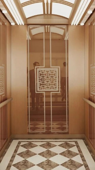 Good Price Residential Elevator China Factory Passenger Elevator for Home Lift