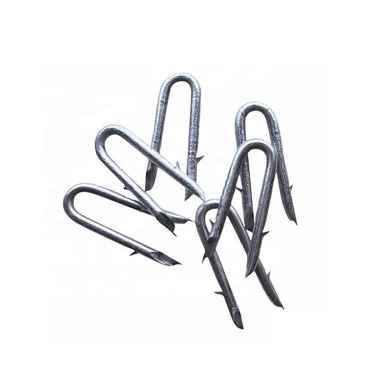 Galvanized Single Barbed Fence Staples U Nails U Shape Wire Nails
