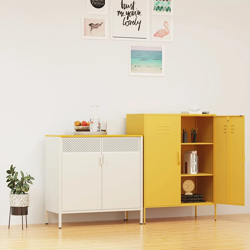 Wall-mounted bookcase modern luxury living room bookshelf cupboard home study 2 door metal cabinet for books and files