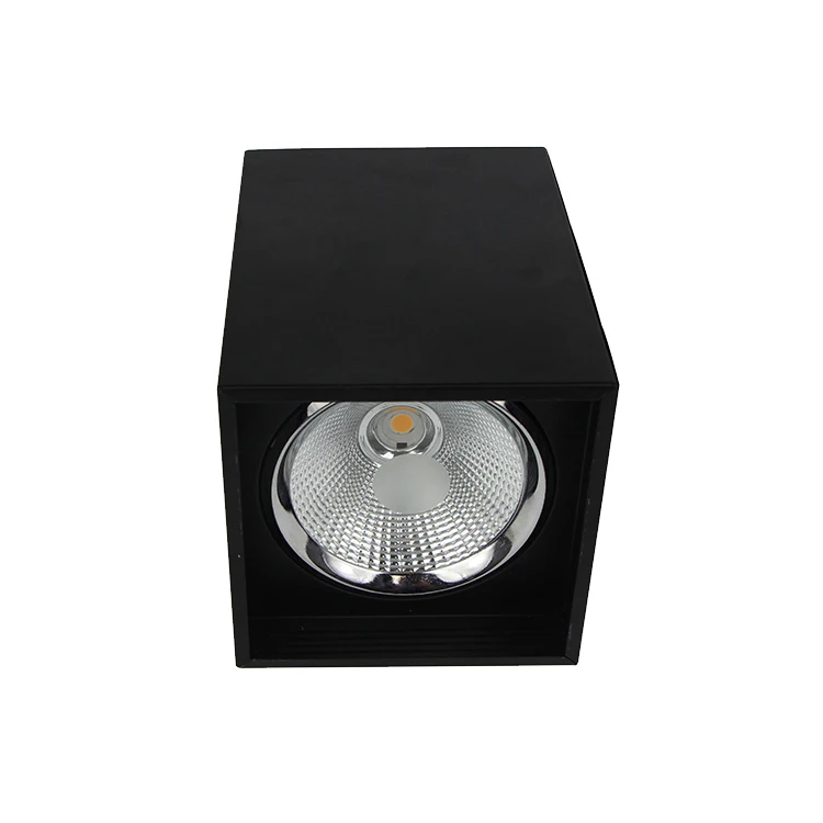 Zhongshan OEPE LED Down Light Black/White Square Shape Surface Mounted Led Cob12W Down Light factory wholesale housing