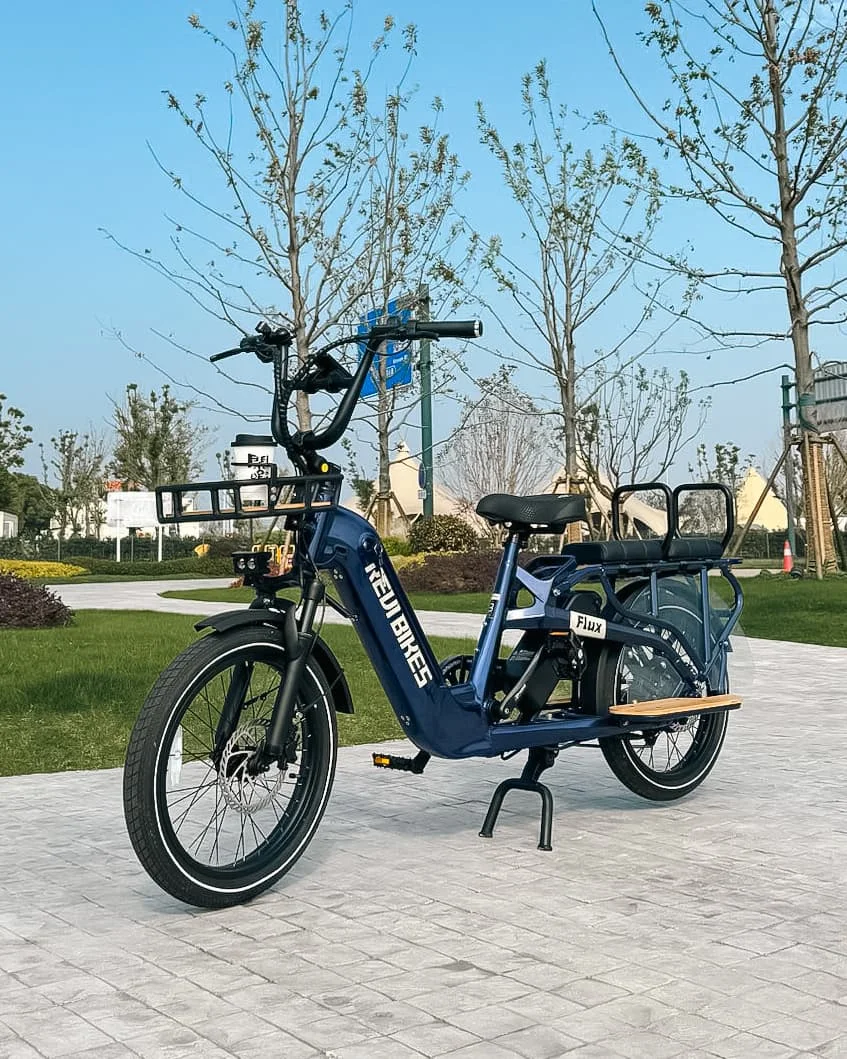 Завод OEM грузовой велосипед с двумя батареями 20 дюймов толстая шина 2 колеса длинный хвост взрослый городской Электрический Грузовой Велосипед 500 Вт 750 корзиной