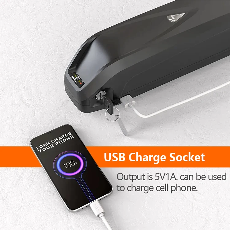 10ah 13ah 15ah 20ah 25ah 1000w 24v 36v 48v Lithium  Electric E Bike Bicycle Pack Lithium Ebike Battery 36v