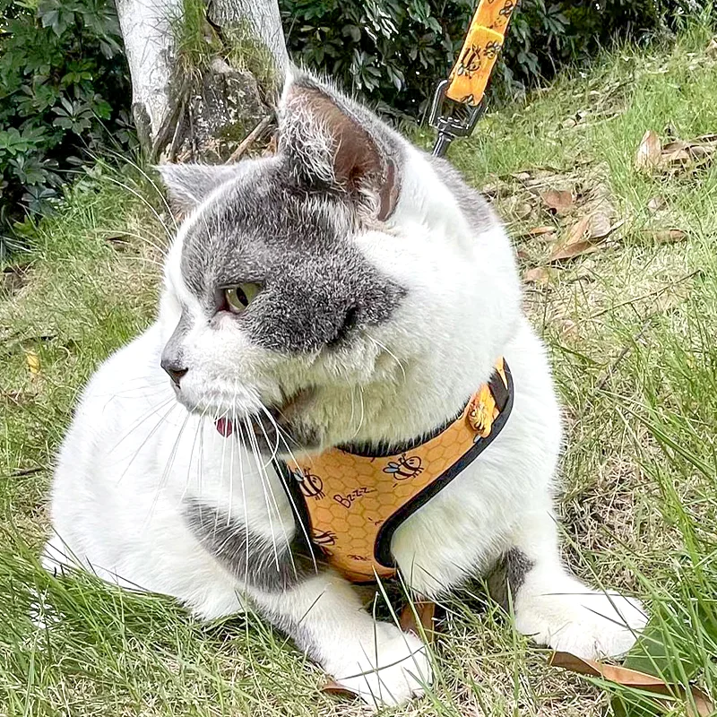 All size and color free design soft mesh pet vest yellow bee dog harness for small medium dog