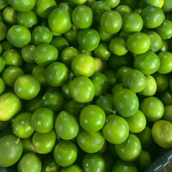 Свежий лимон, высококачественные фрукты, хорошие фрукты