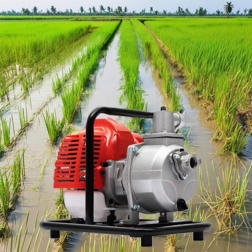 3HP Portable Garden Farm Water Pump High Pressure Piston Pump Energy Saving for Irrigation Agriculture Customizable OEM Support