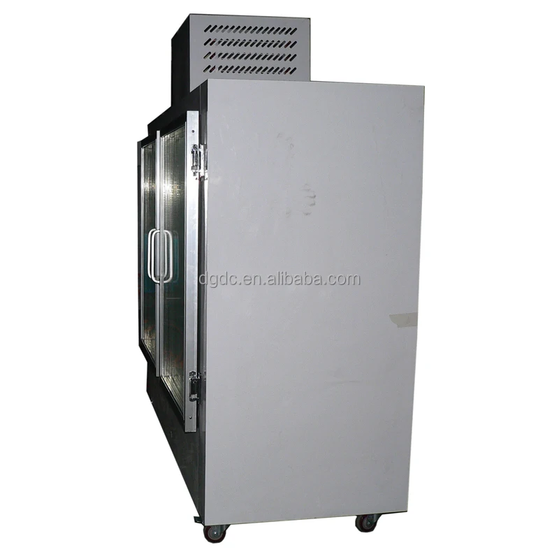 Gas Station Indoor Display Bagged Ice Storage Freezer With 2 Glass Door or Solid Doors