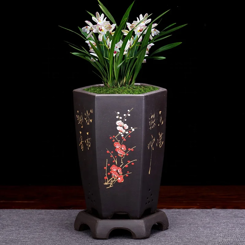 Фиолетовые горшки орхидеи Clivia шестигранная Кливия с лотком