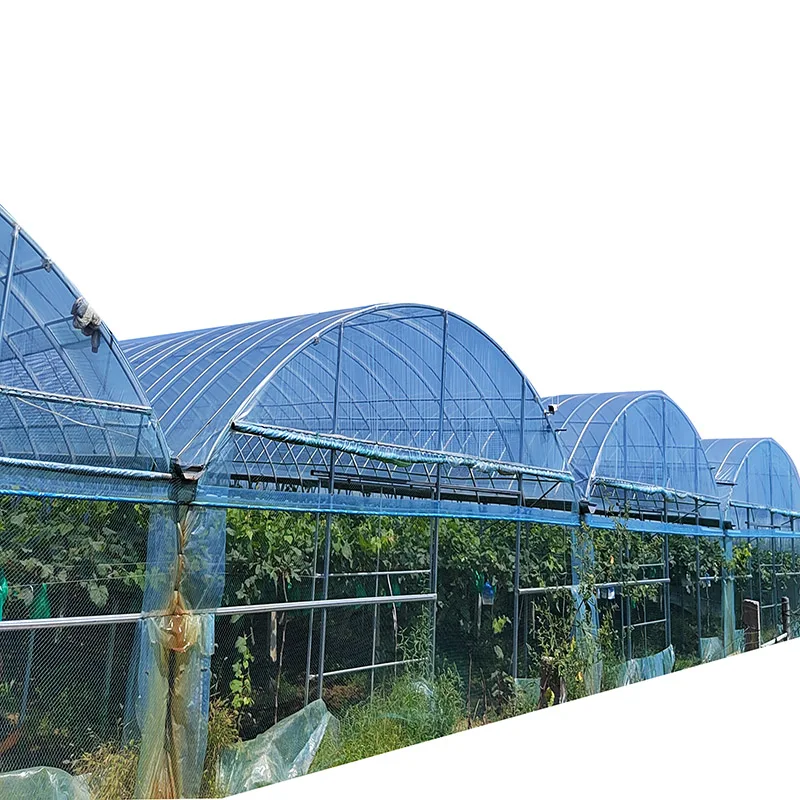 greenhouse plastic film 250 microns pe cover for greenhouse 300x200x200