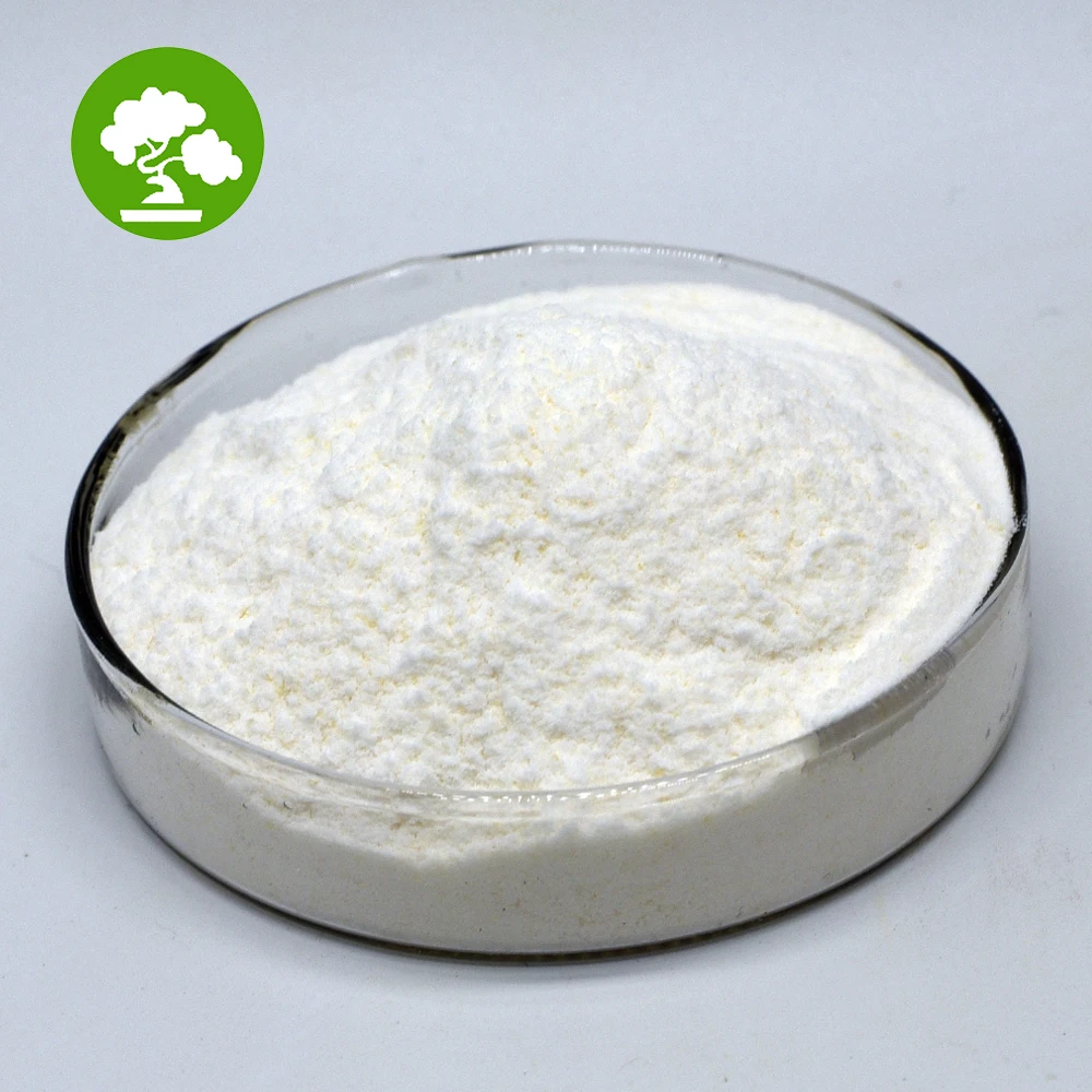 High Activity Probiotics Powder Lactobacillus Salivarius 10 Billion CFU/g