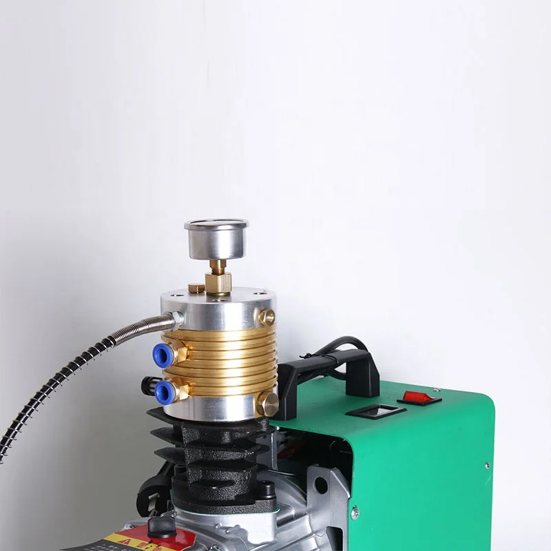 300Bar Portable 12V 220v Electric high pressure Mini Pcp Air Compressor 4500psi