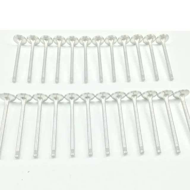 11342247077 LGH101450 Engine Intake Exhaust Valve for BMW E87 E46 E39 E60 E61 E53 M47 M57 N57N 306D2 306D3 306D5 MG Rover 204D2