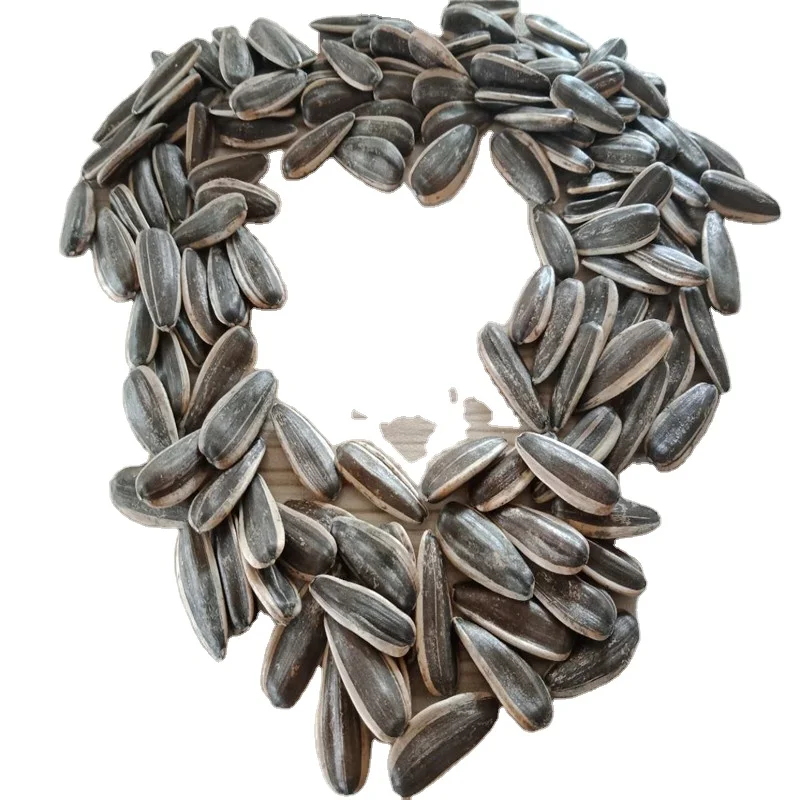 2022 new crop china sunflower seeds type 361 inner mongolia factory
