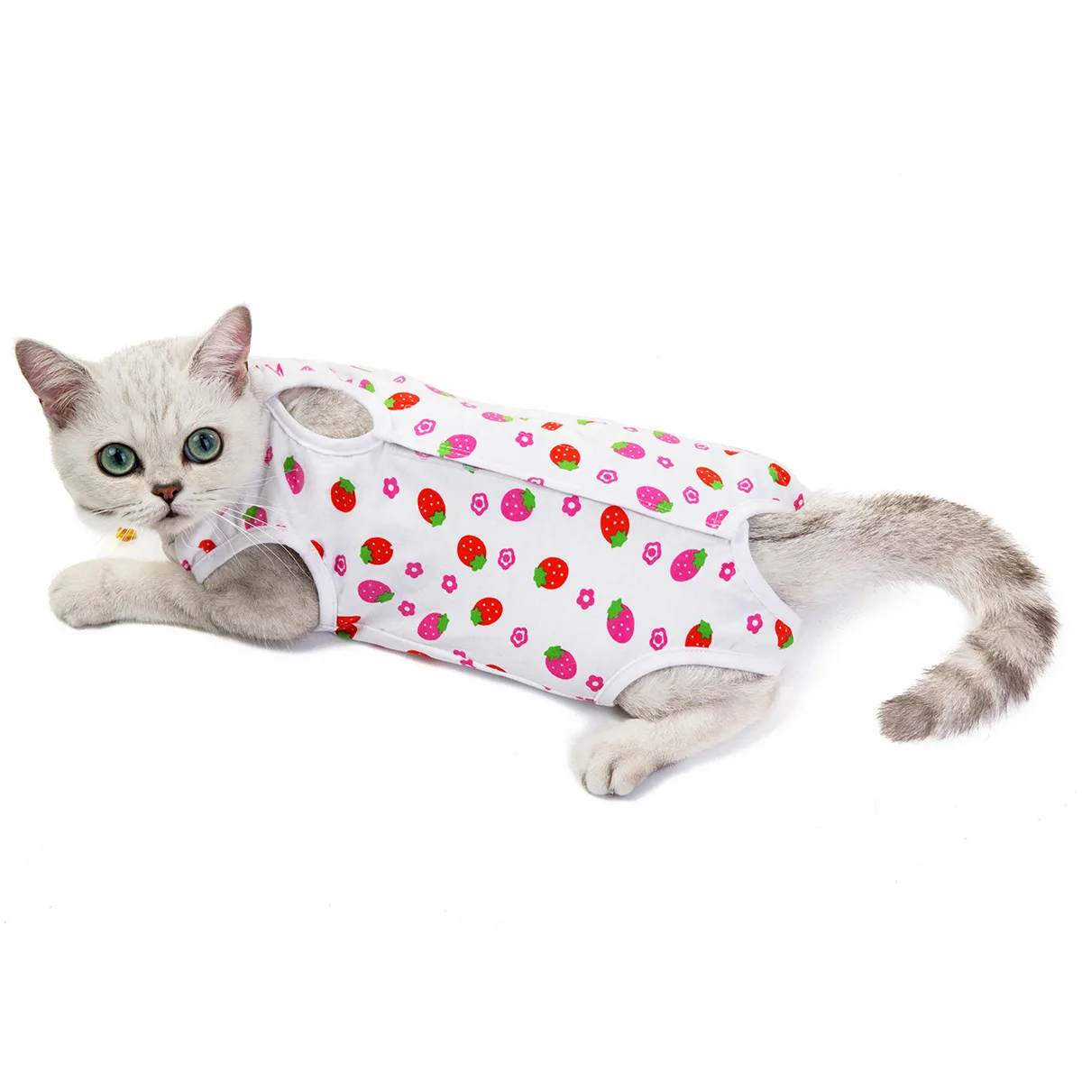 Kitten spay/Neuter kitten postnatal/Spring/Summer kitten scrubbing suit anti-lick weaning