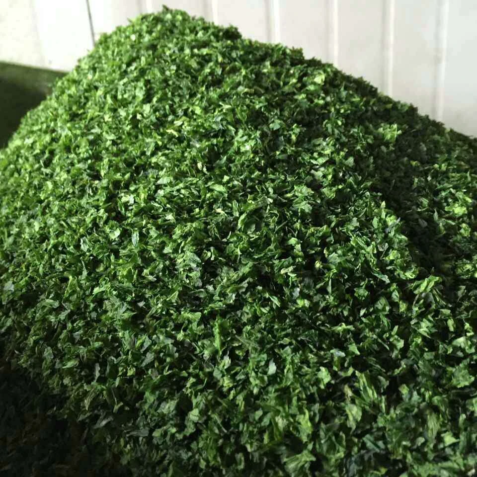 Aonori/Ulva/Nori Seaweed, Fresh Edible Seaweed Green Algae Ulva