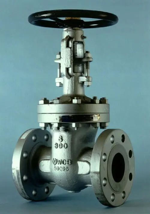 
Stainless steel gate valve API600 class150 gate valve for steam 