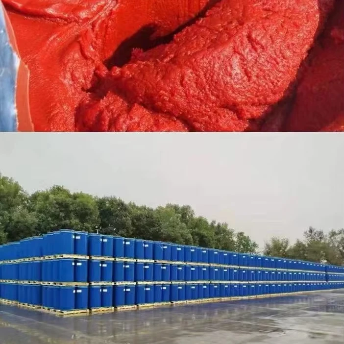 Tomato Paste In 220L Aseptic Bag Be Produced Under Vacuum Condition 245 kg per barrel Tomato Sauce In Drum Brix 36%-38%