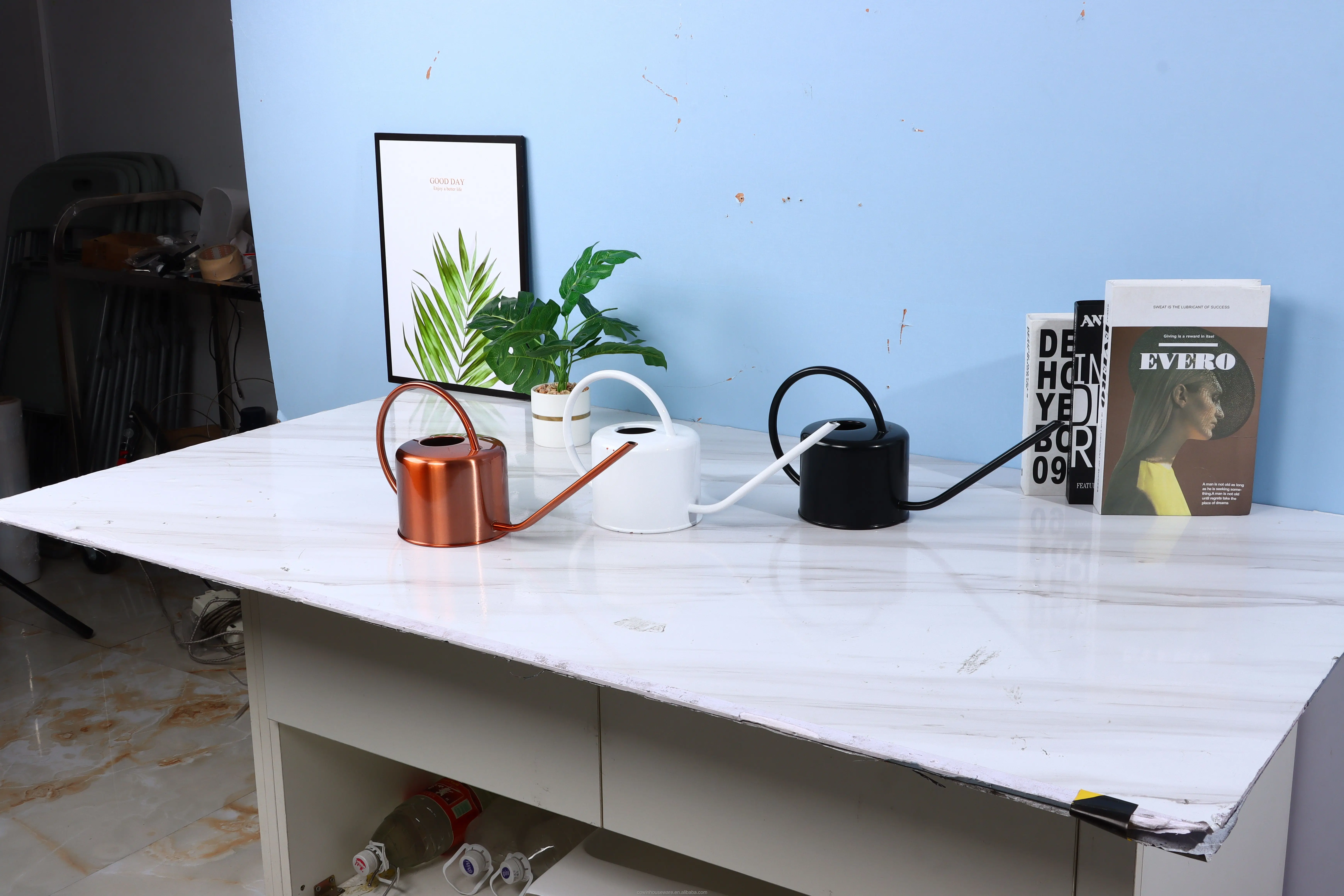 Outdoor Metal Stainless Steel Gardening Water Can Indoor Plants Flowers with Long Spout Watering can