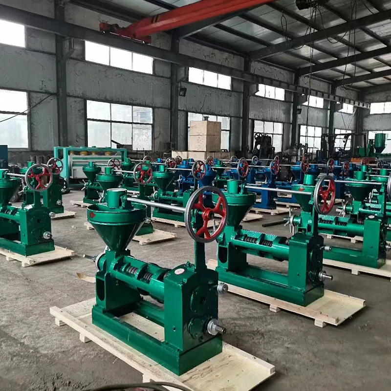 6YL-85 Most Popular Screw Oil Press for Seed Oil Extraction Cold Press from Plant Coconut Other Seeds