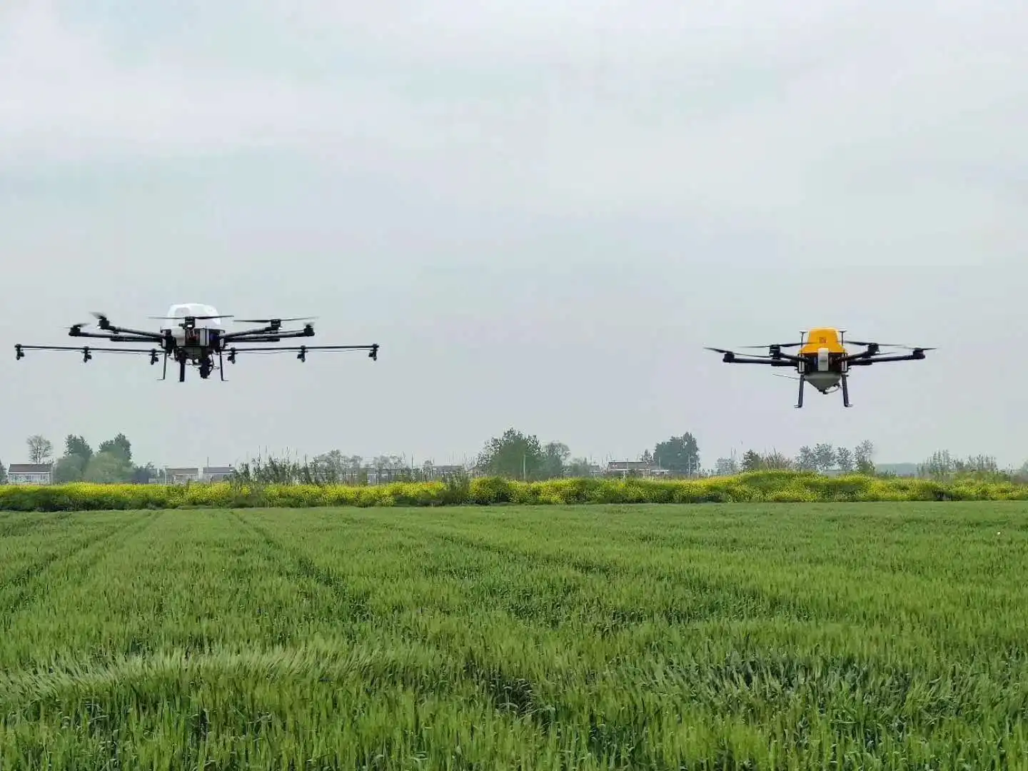 
10L Drone agriculture sprayer carbon Fiber aircraft for sale from Digital Eagle 