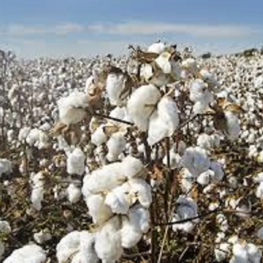 Натуральные хлопковые волокна