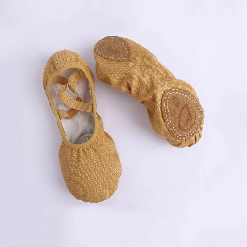 Women Soft Sole Dance Shoes Professional Canvas Dance Training Shoes Girls Elastic Band Ballet Slippers Clearance Sale