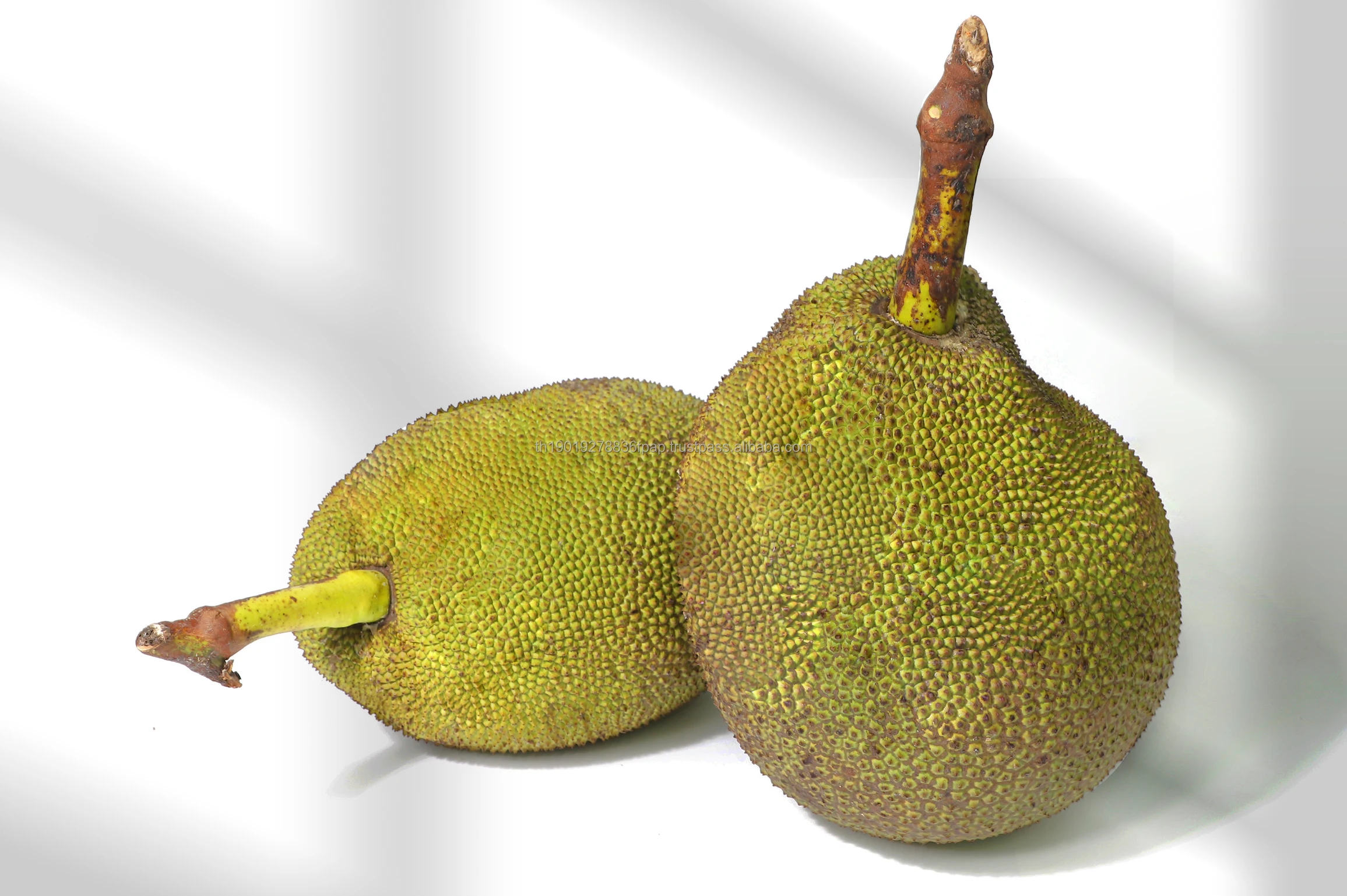 Качественный выбор Jackfruit тайские фрукты сладкие и вкусные T8 свежие обработанные высокого класса