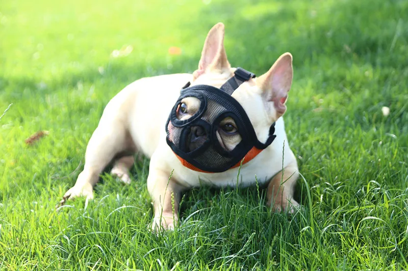 French BullDog Muzzle Breathable Mesh Dog Muzzle For Dogs