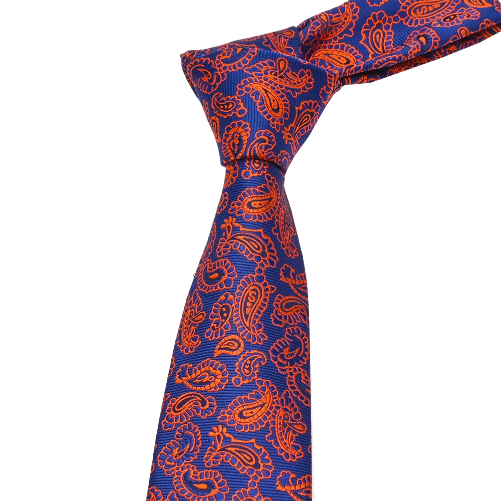 YiLi Jacquard Handsome Microfiber Polyester Woven Paisley Import Tie