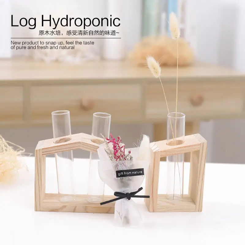 Simple nordic style test tube glass vase decoration creative scindapsus aureus hydroponic plant container home  decoration