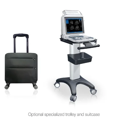
Factory price wholesale Portable ultrasound machine black and white laptop doppler ultrasound machine 