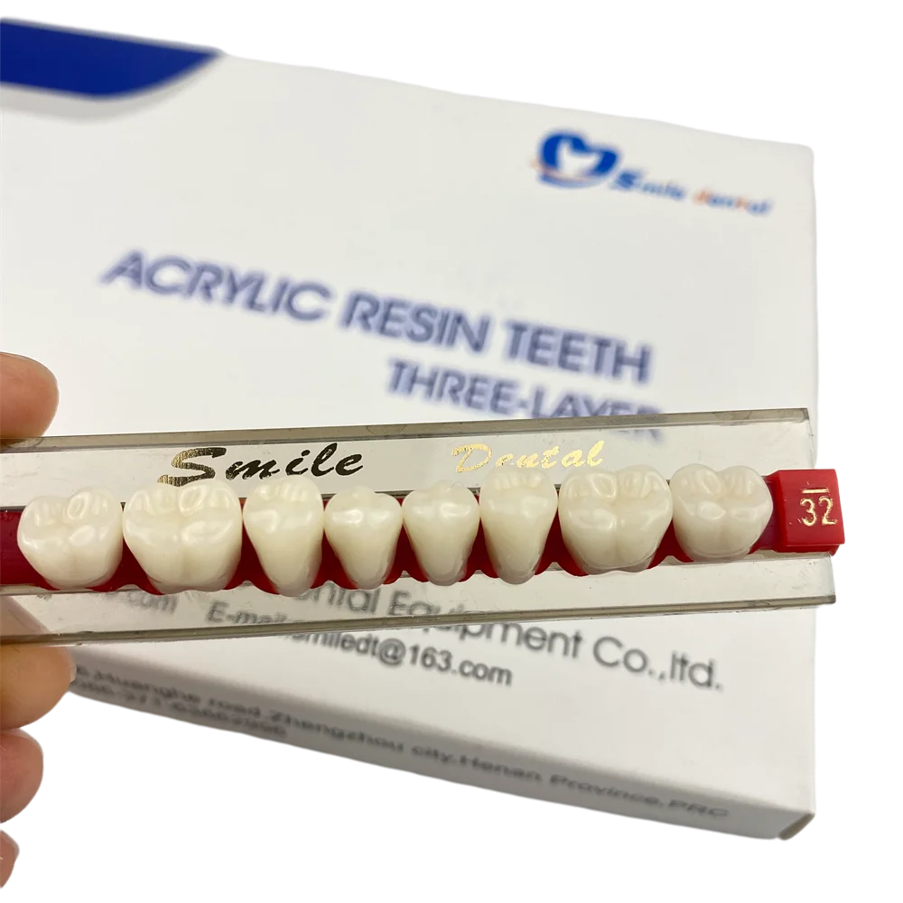 3-Layer Dentures Dental Posteriors Acrylic Resin Teeth Synthetic Teeth