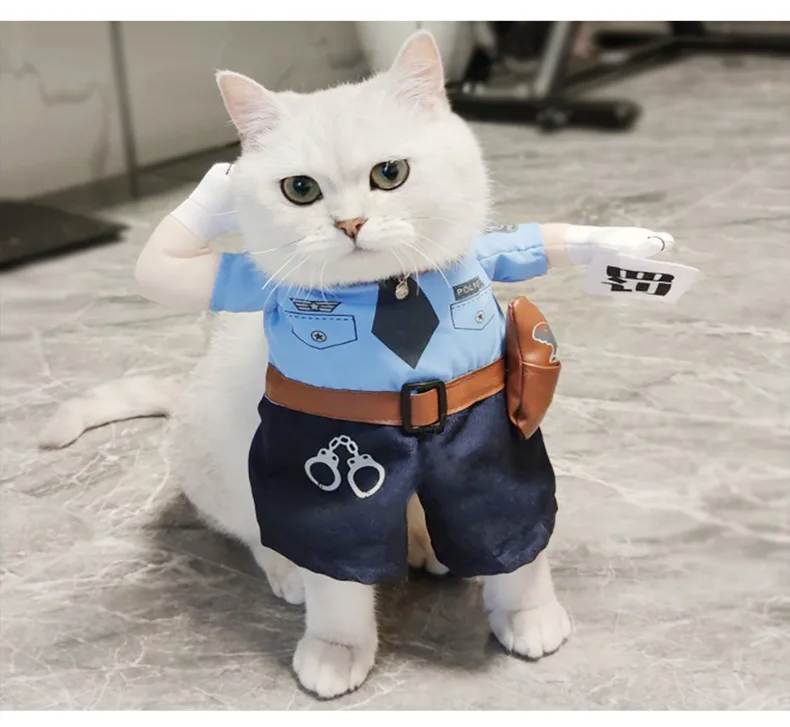 Details picture_09.jpg