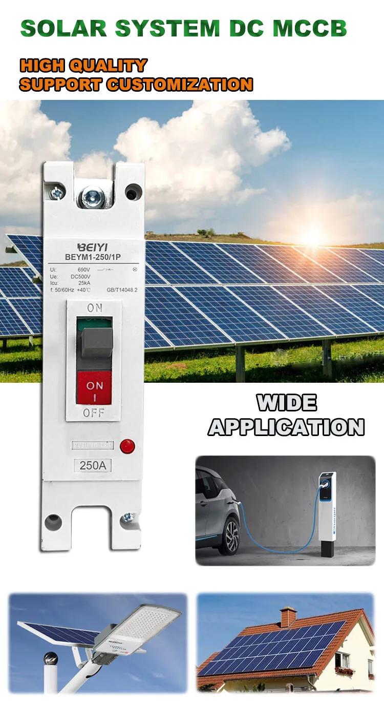 1P DC MCCB  250A.jpg