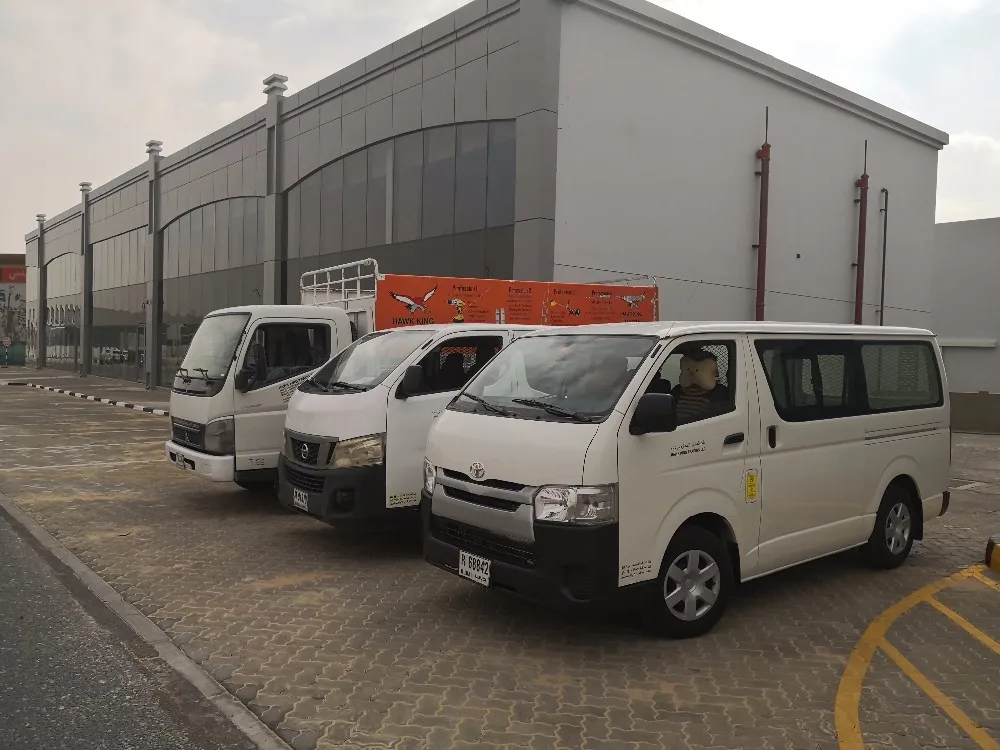 Super september quick shipping China profession big portable petrol chain saw wood cutting machine