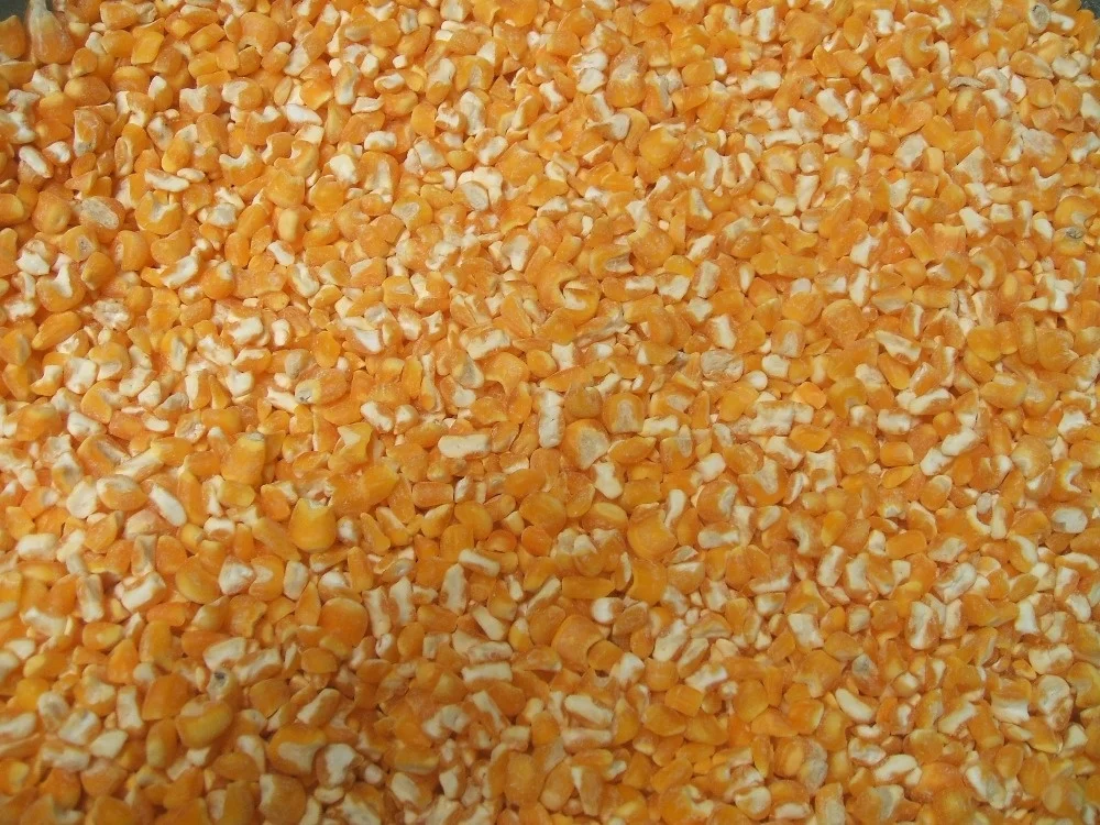 High quality 5ton-50ton/day maize degerminating machine / corn degerminator