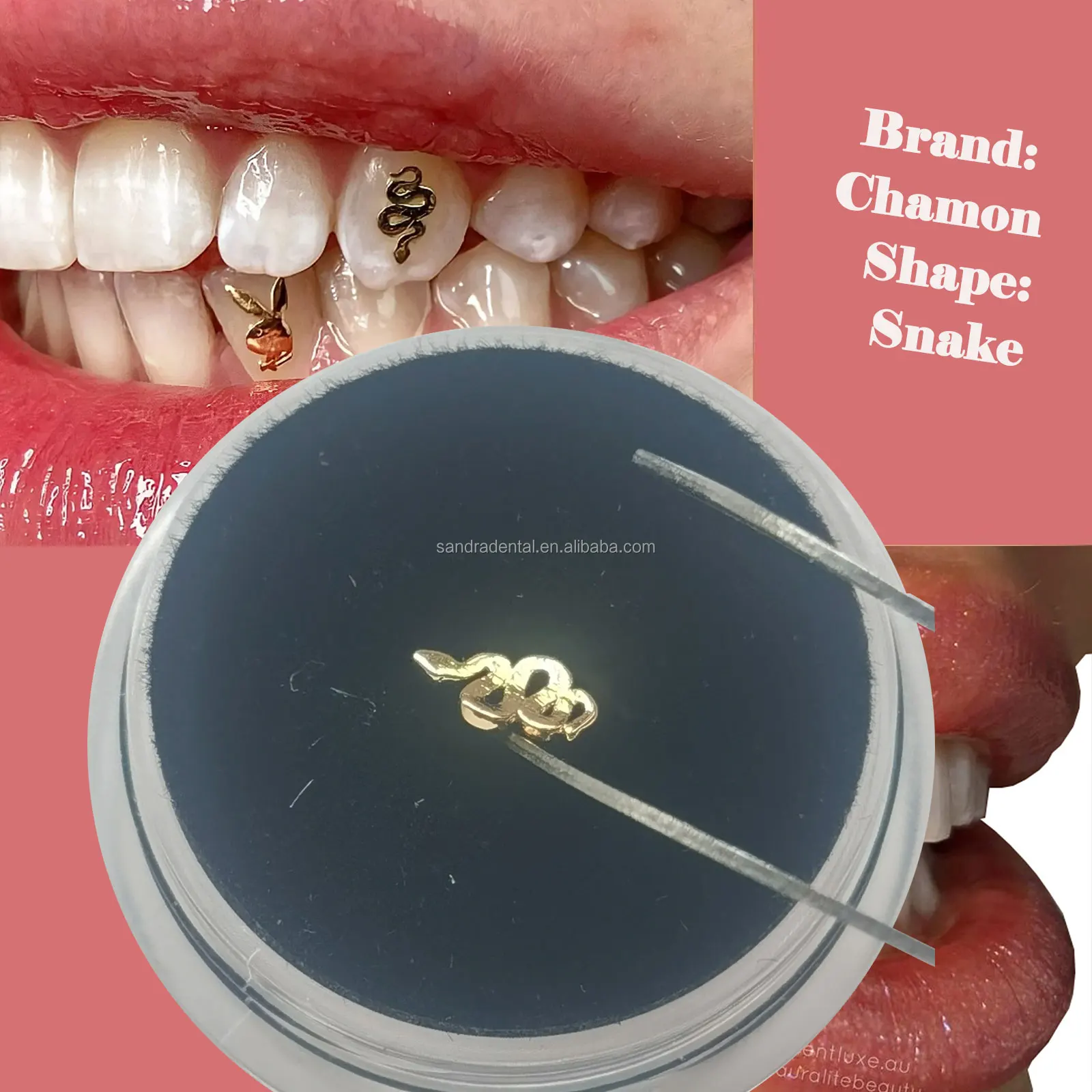 18K Gold Tooth gems dental lead free tooth gem jewelry 14k 18k Yellow gold tooth gems kit