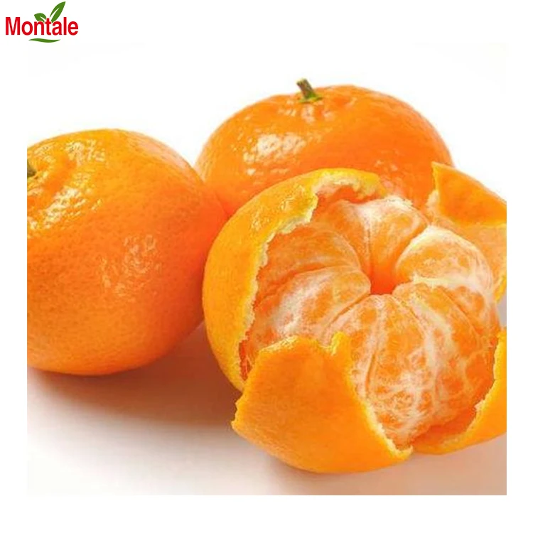 2022 Высокое качество Новый стиль Montale Fresh Wokam мандарин