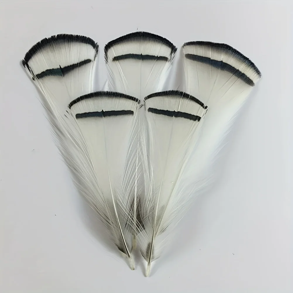 NATURAL WHITE Lady Amherst Pheasant Tippet Feathers, 5-7cm Natural Feathers For Wedding Decorations