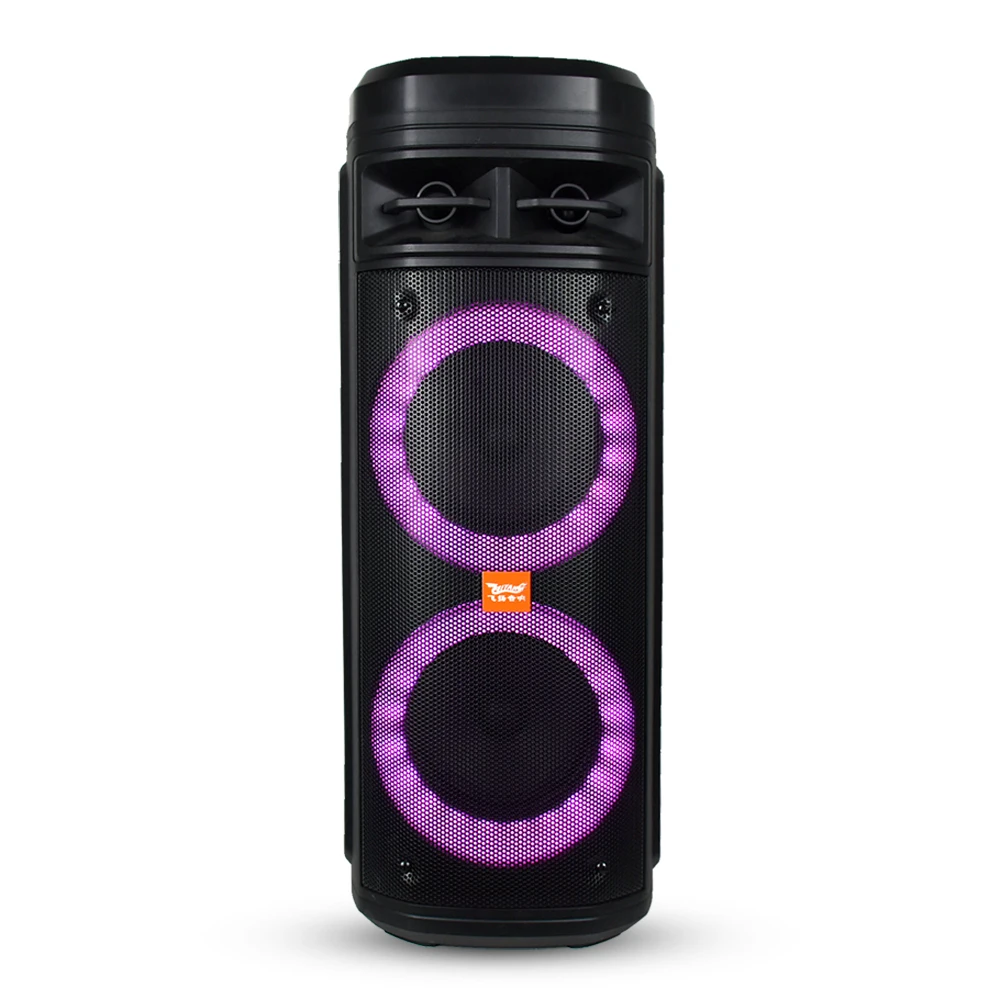 Feiyang двойной 6,5 дюймов портативный TWS bluetooth партия pa система Динамик с fm-радио беспроводной микрофон FG206-06