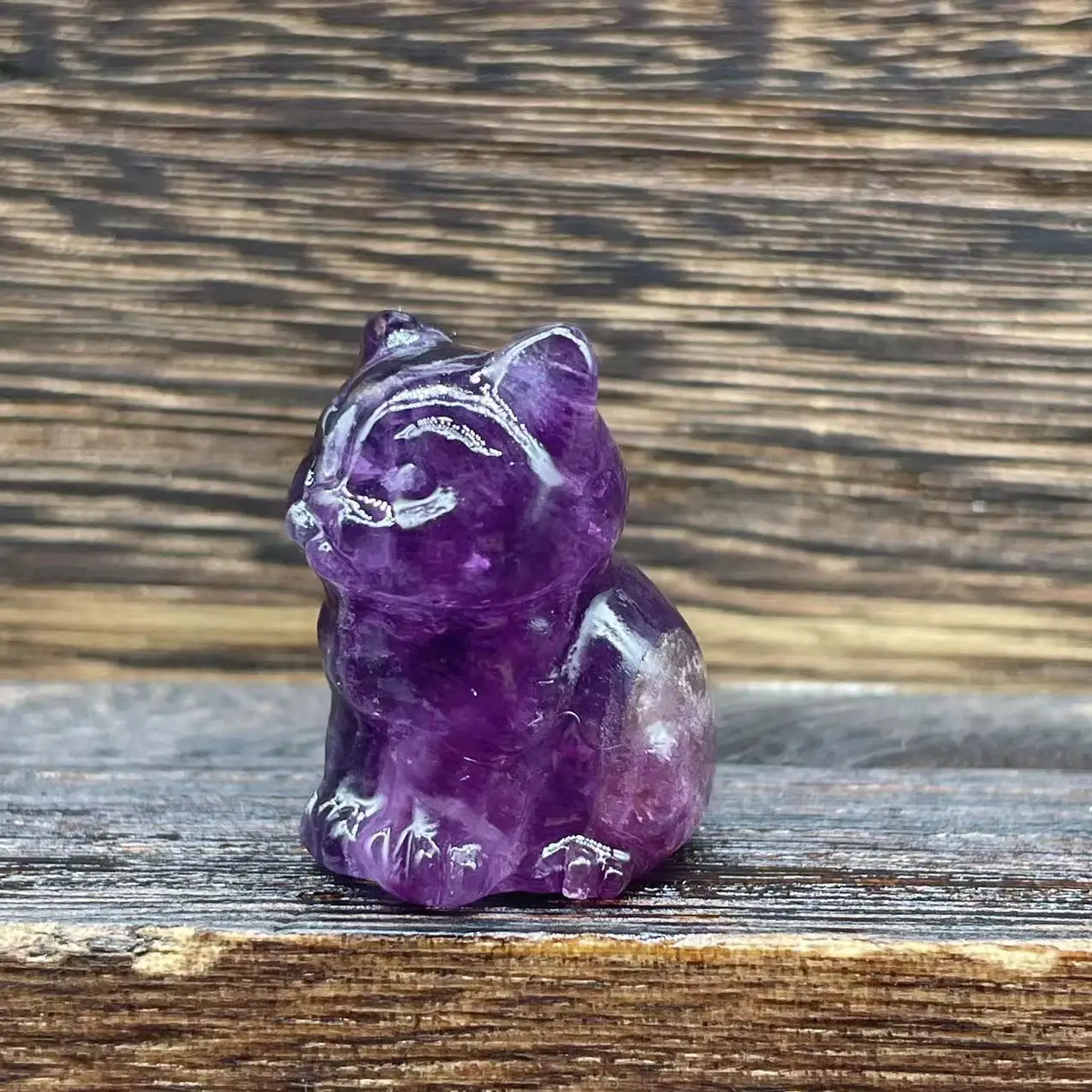 crystal cat (19)