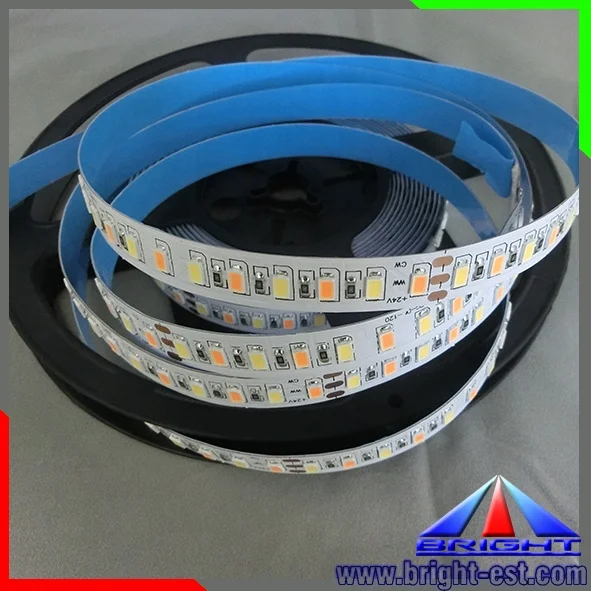 SMD5630 bicolor led strip,W+WW 24V Dual White CCT Tunable dimmable led light strip
