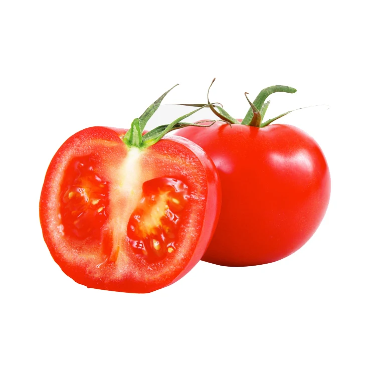
Wholesale Box Style Storage Packaging Cherry Tomato Tomato Fresh Red Fresh Tomato 