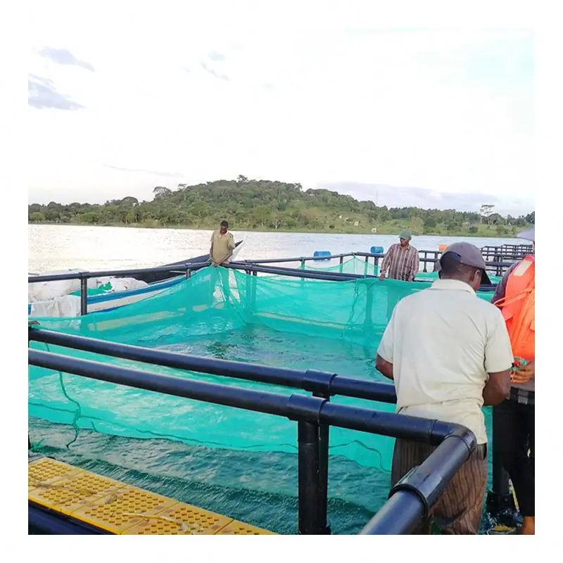 Fish cage farming system Fish cage pond Marine fish farming