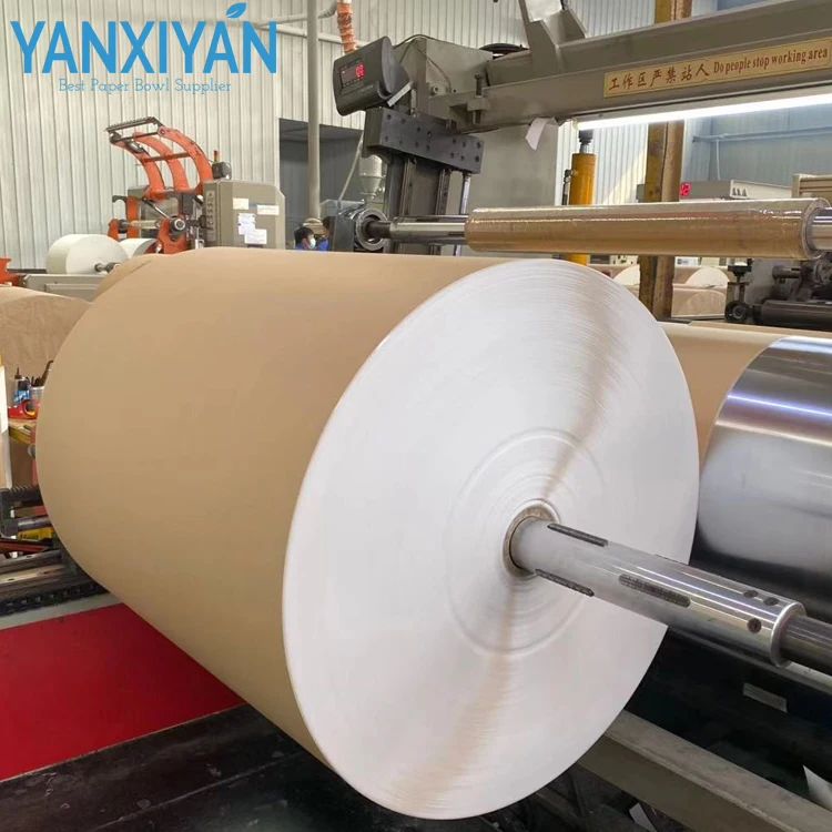 Directly Factory Food Grade pe coated craft paper roll