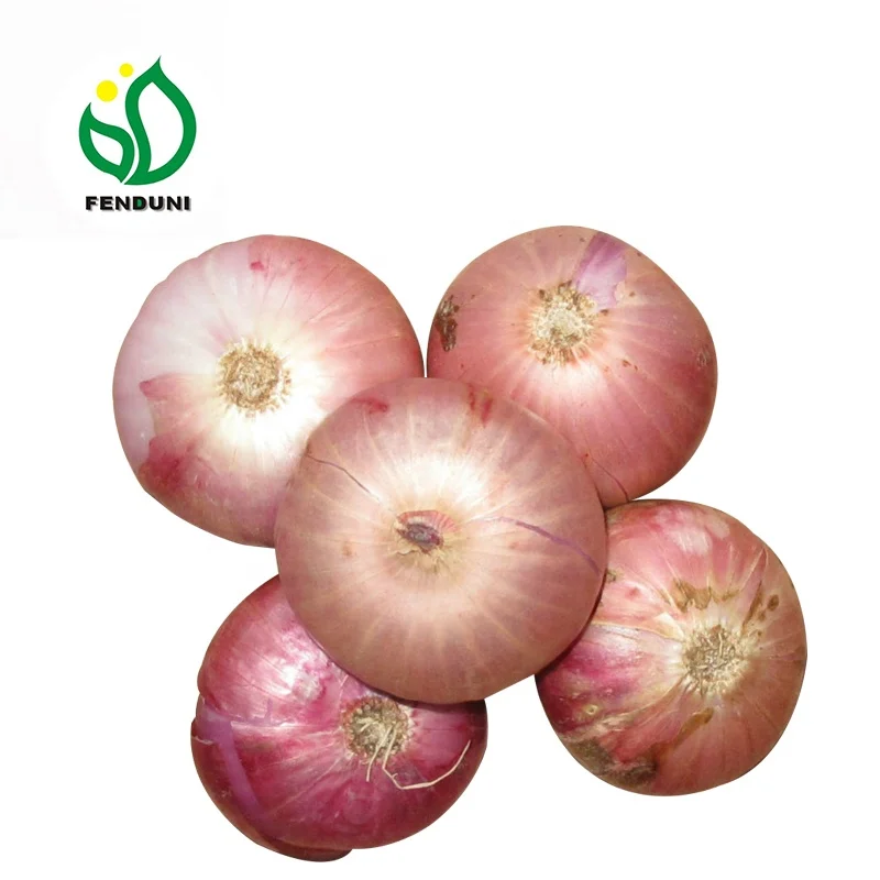 
Chinese exporters fresh market prices red onion for importers and buyers wholesale 