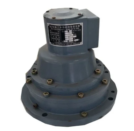 Passenger Hoist Safety Device