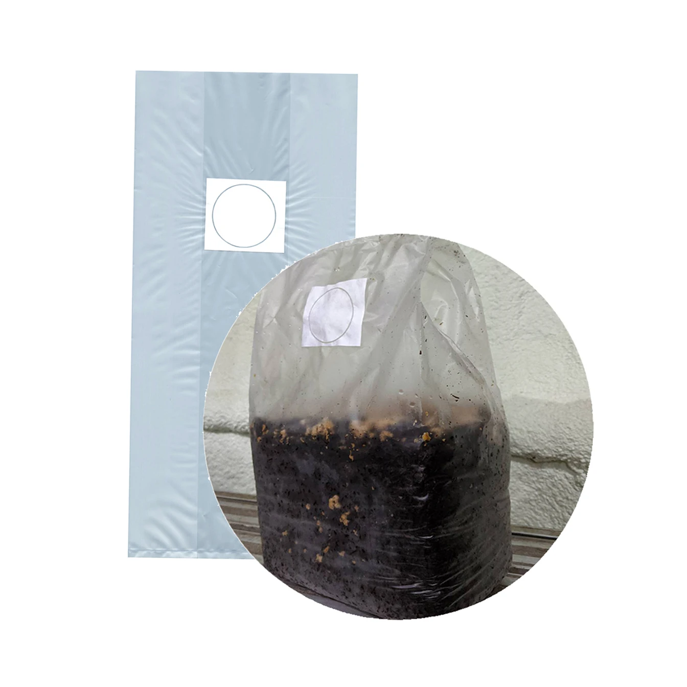 High quality Japanese cultivation spawn shiitake mushroom grow bag